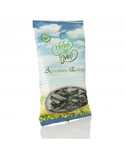 Ginko Biloba Foglie Eco
