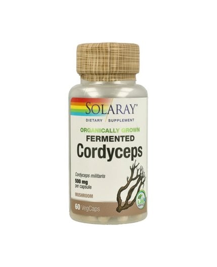 Fermentierter Cordyceps