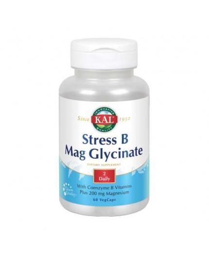 Stress B Mag Glycinat Stress B Mag Glycinat