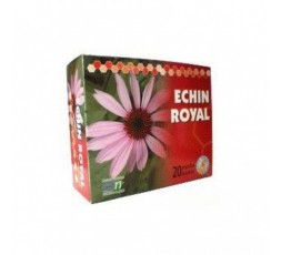 Echin Royal