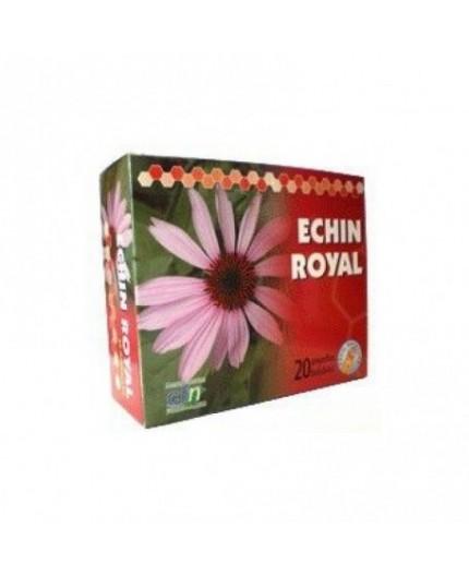 Echin Royal Echin Royal
