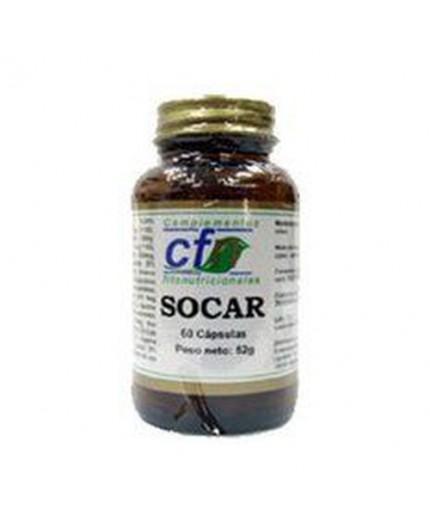 Socar Socar