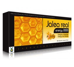 Jale Real Energy 2000