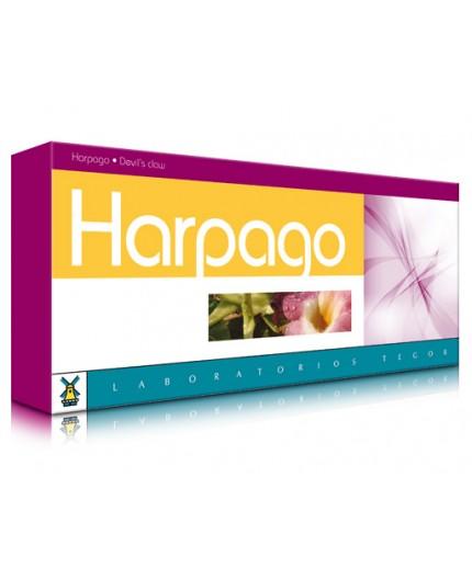 Harpago 20 Harpago 20