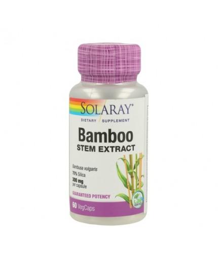 Bamboo - Desactivado