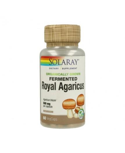Fermented Royal Agaricus (Champiñon Sol) Fermented Royal Agaricus (Champiñon Sol)