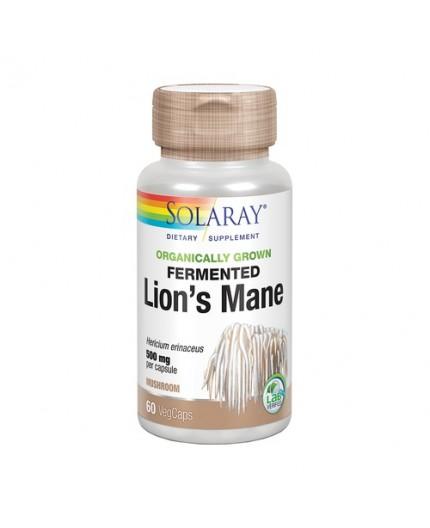 Leon Bio Ferm's mane. Organic (Lions Mane)