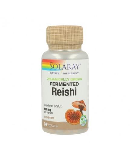 Bio fermentierter Reishi
