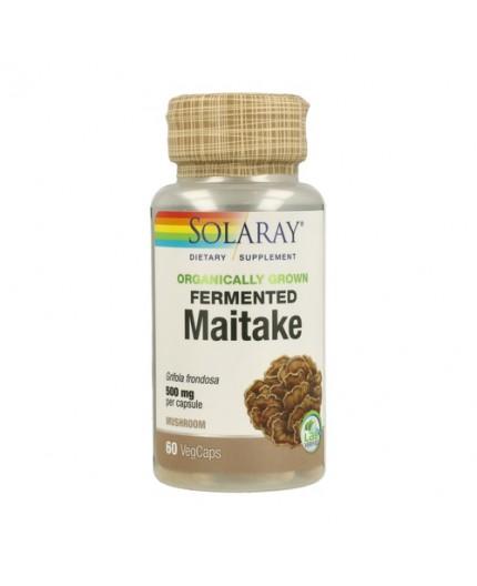Bio fermentierter Bio Maitake