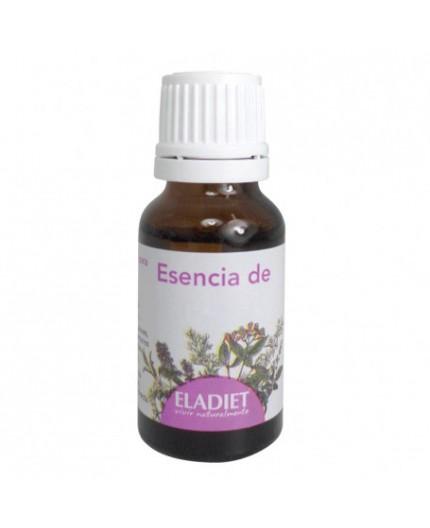 Aceite Esencial de Cajeput Aceite Esencial de Cajeput