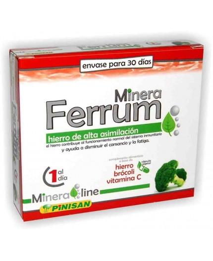 Minera Ferrum