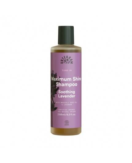 Champú De Lavanda Champú De Lavanda