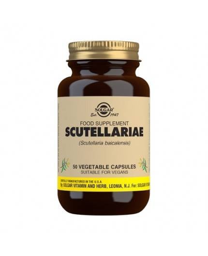 Scutellaria (Scutellaria Baicalensis)