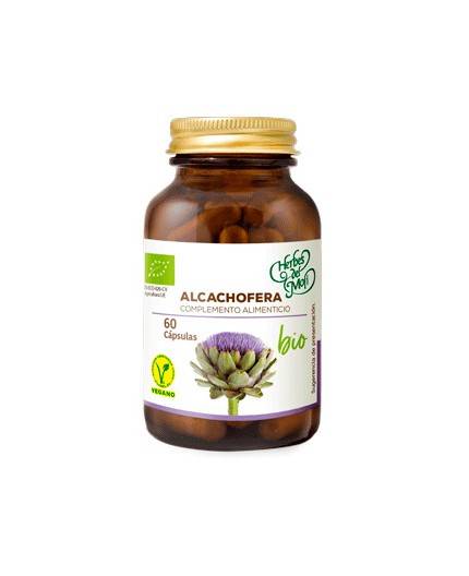 Alcachofera ECO-BIO Alcachofera ECO-BIO