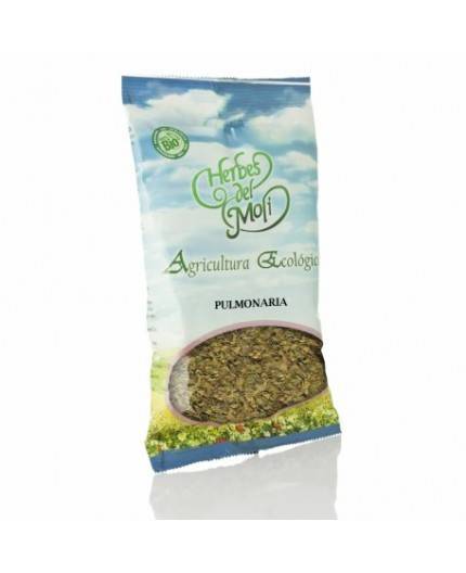 Foglia polmonare Eco Foglia polmonare Eco