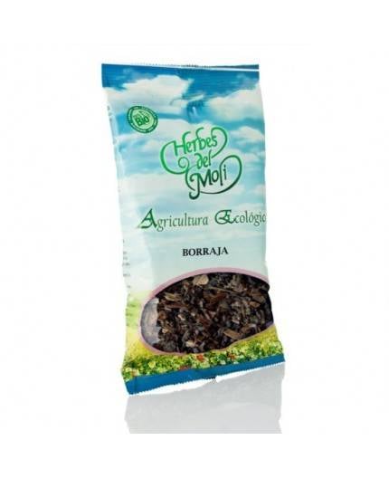 Borragine Pianta Eco Borragine Pianta Eco