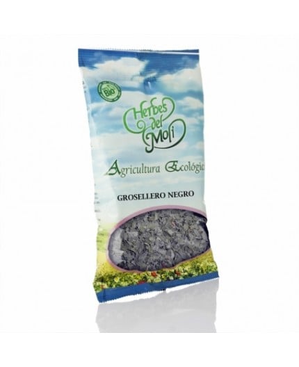 Ribes Nero Foglie Tradizionale Eco Ribes Nero Foglie Tradizionale Eco