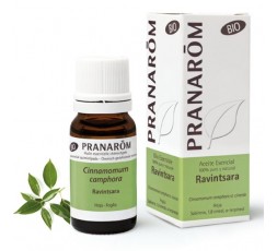 Aceite Esencial De Hoja De Ravintsara Bio