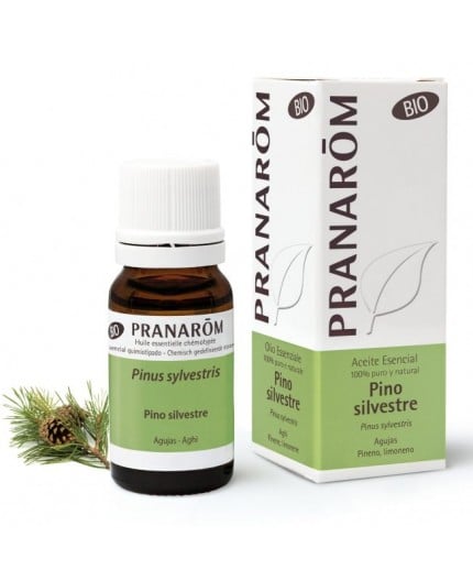 Bio Wild Pine Needle Essential Oil Bio Wild Pine Needle Essential Oil