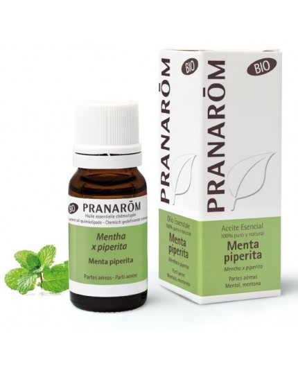 Olio essenziale di menta piperita biologico Olio essenziale di menta piperita biologico
