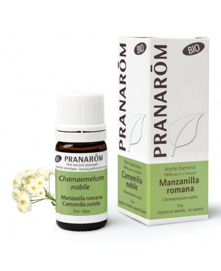 Olio Essenziale di Camomilla Romana Biologico Olio Essenziale di Camomilla Romana Biologico