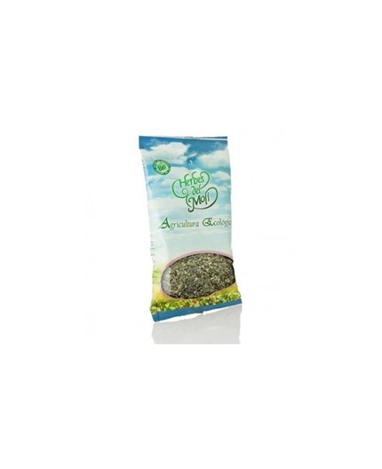 Basilico Eco Basilico Eco