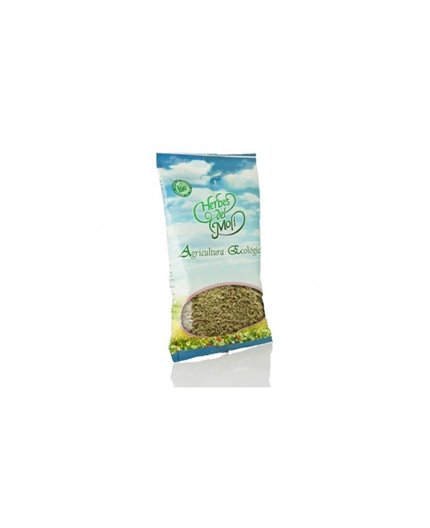 Green Anise Seeds Eco