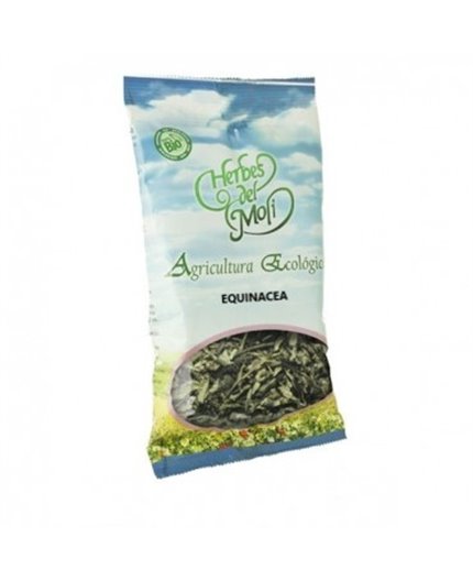 Radice di Echinacea Eco