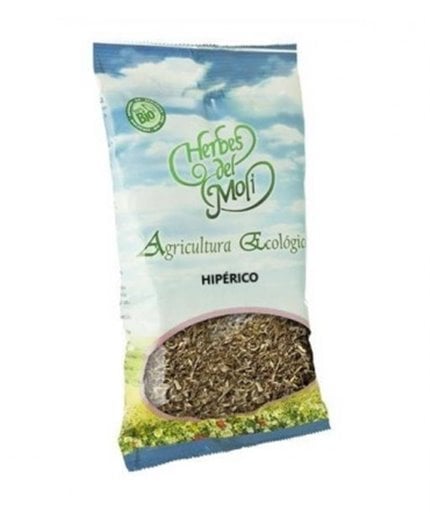 Pianta di erba di San Giovanni Eco