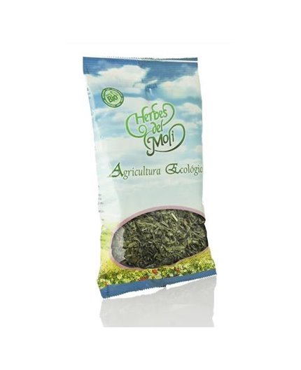 Foglie di piantaggine Eco