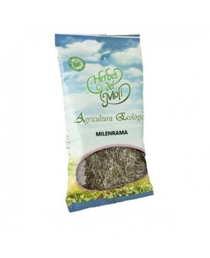 Schafgarbe Blume Eco Schafgarbe Blume Eco