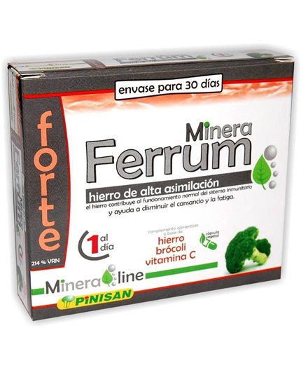 Ferrum Forte Mining
