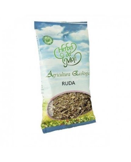 Ruda Pflanze Eco
