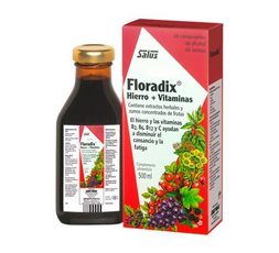 Floradix Floravital Jarabe