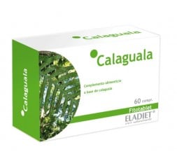 Calaguala 330Mg