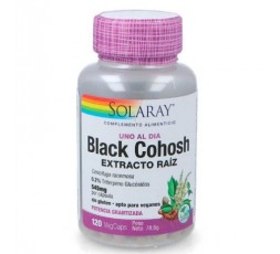 Black Cohosh (Cimicifuga)