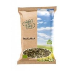 Salicaria Planta Eco