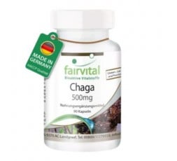 Chaga - Hongo Puro 500 mg.