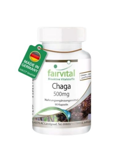 Chaga - Hongo Puro 500 mg. Chaga - Hongo Puro 500 mg.