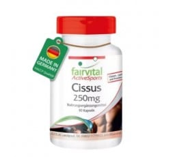 Cissus