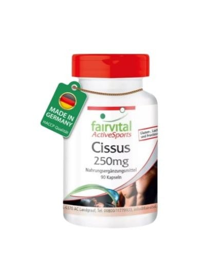 Cissus Cissus