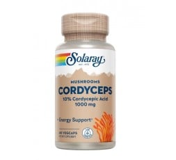 Fermented Cordyceps