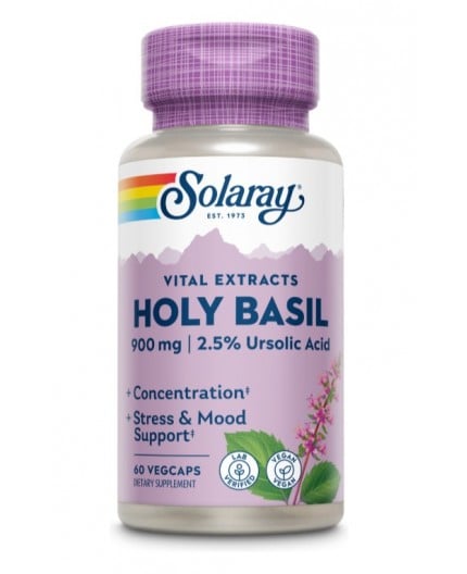Holy Basil Holy Basil