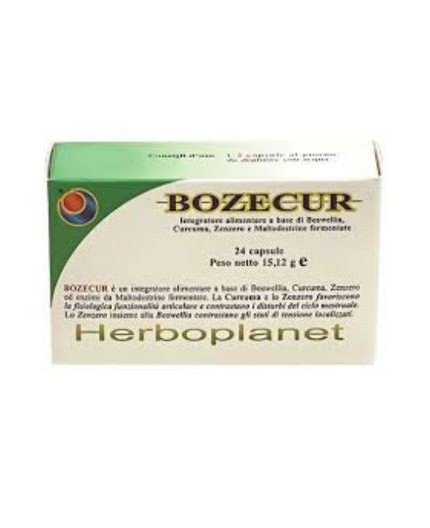 Bozecur Bozecur