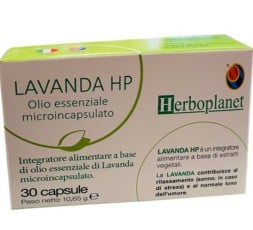 Lavanda HP