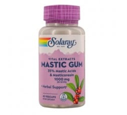Mastic Gum