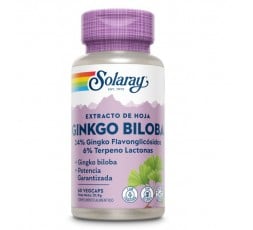 Ginkgo Biloba