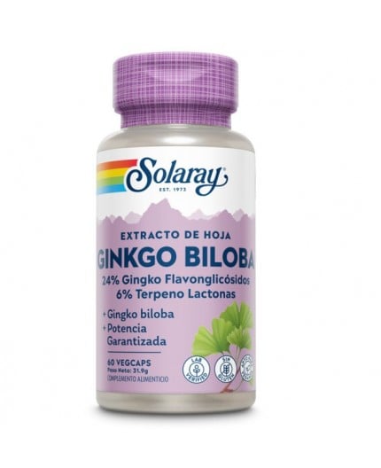 Ginkgo Biloba