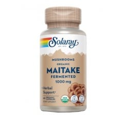Maitake Bio Fermentado Orgánico