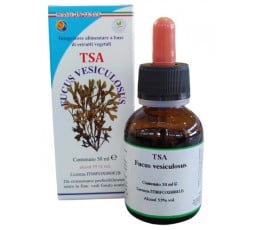 Tsa Fucus Vesiculosus (Fucus) - Tallo